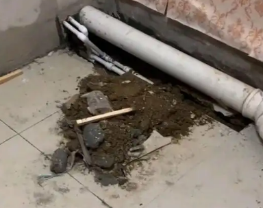 新兴卫生间漏水检测哪家好