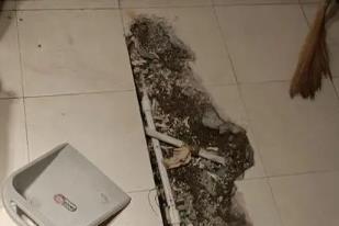 新兴卫生间漏水检测电话